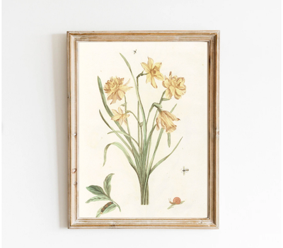 Free vintage botanical printable - framed spring flowers