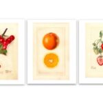 Vintage Fruit Illustrations, Free Vintage Wall Art