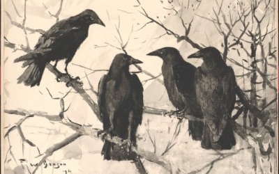 Free Halloween Printables, Ravens, Crows, Black Birds sitting on branches